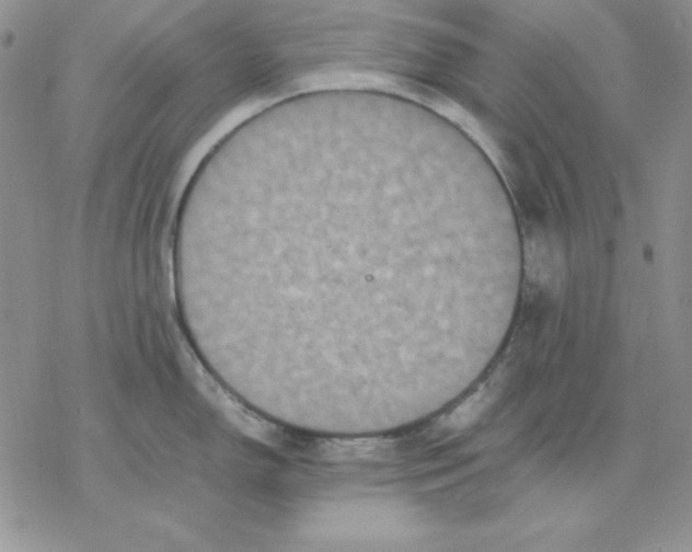 X0000077291150200611171621