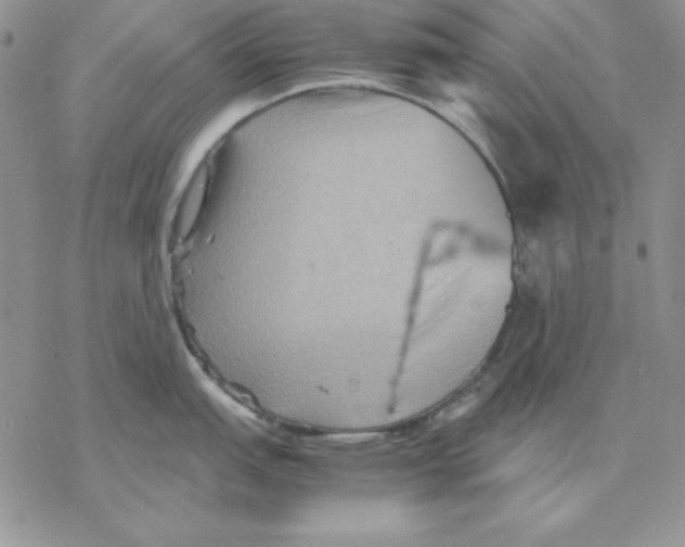 X0000077291151200611171621