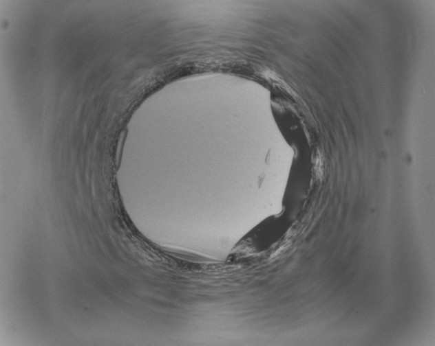 X0000077291153200611171620