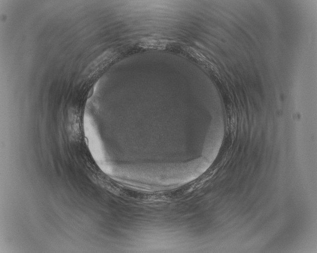 X0000077291154200611171620