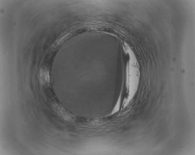 X0000077291155200611171620