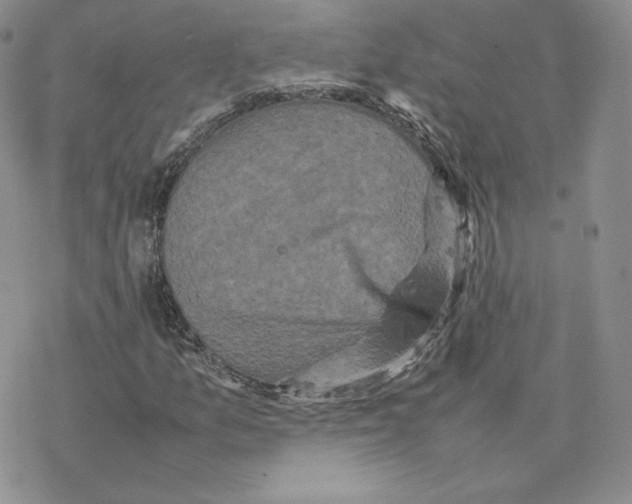 X0000077291157200611171620