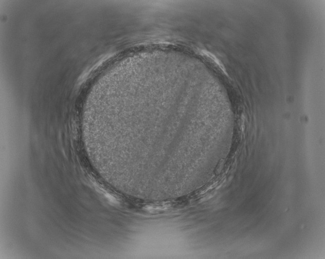 X0000077291159200611171620