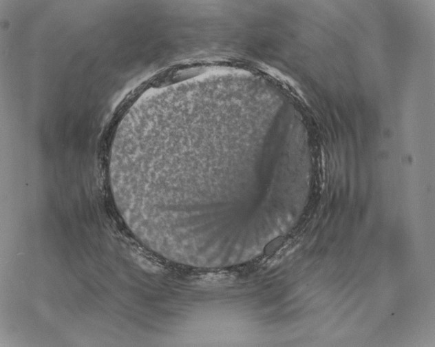 X0000077291160200611171620