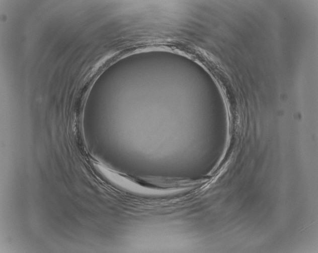 X0000077291161200611171620