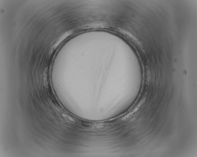 X0000077291162200611171620