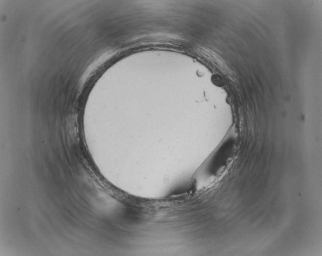 X0000077291164200611171620