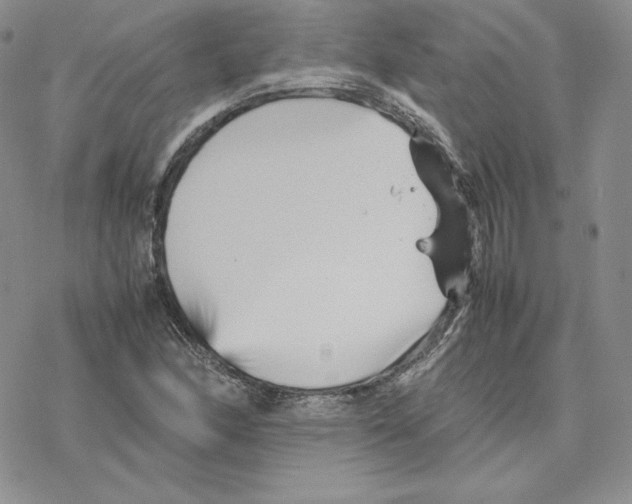 X0000077291166200611171620