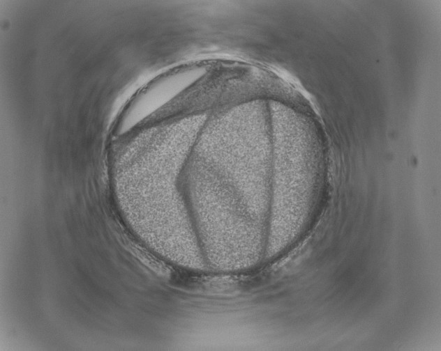 X0000077291167200611171620