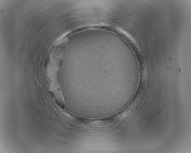 X0000077291169200611171620