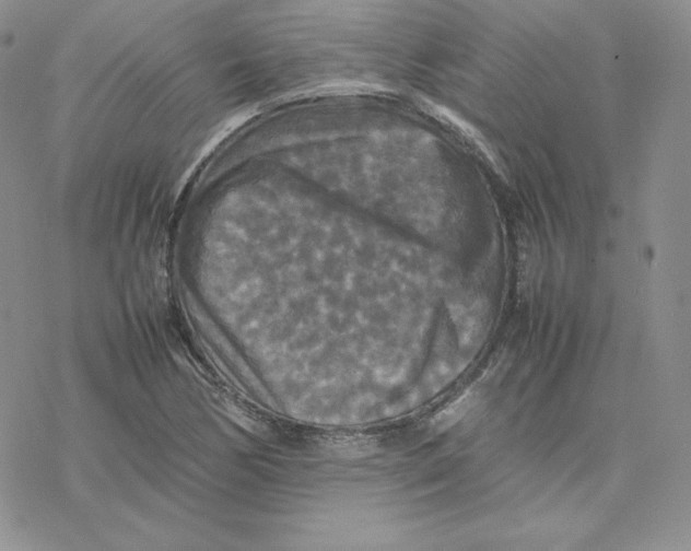 X0000077291170200611171620