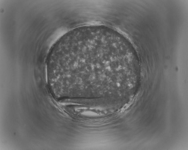 X0000077291171200611171620