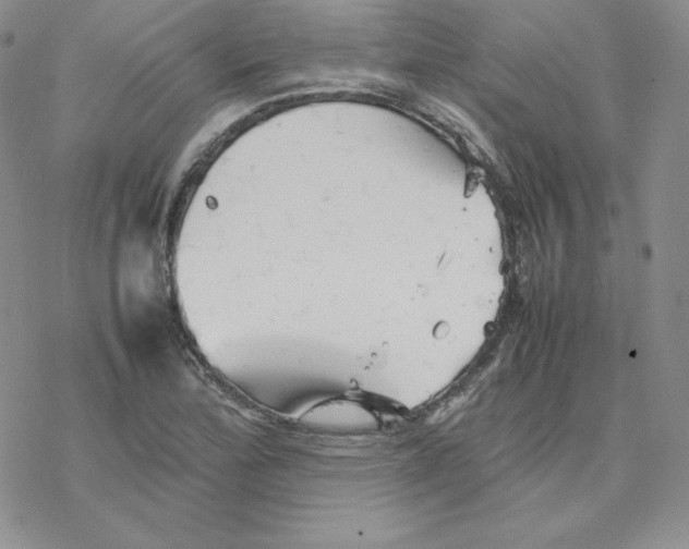 X0000077291172200611171620