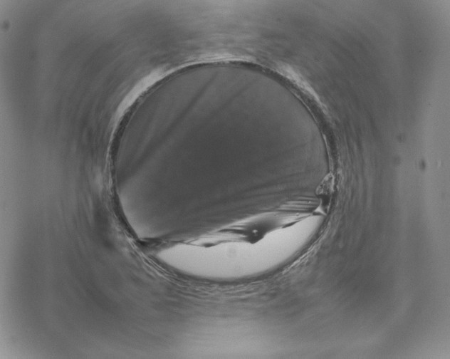 X0000077291173200611171620