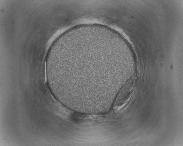 X0000077291175200611171620