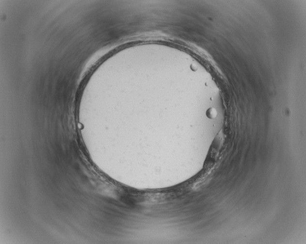 X0000077291176200611171620