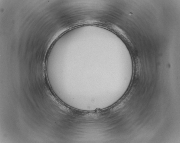 X0000077291178200611171620