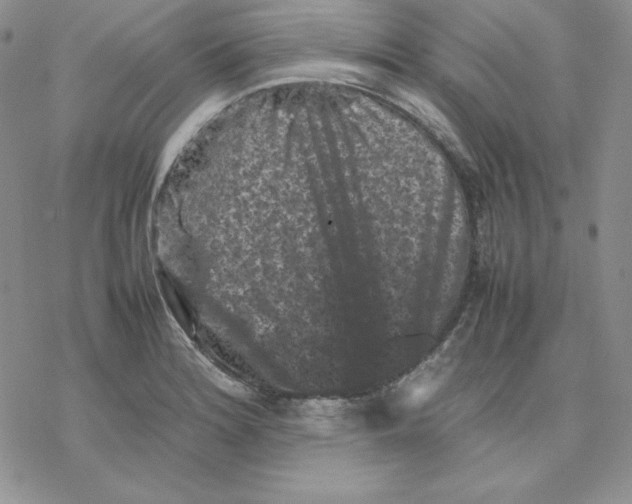 X0000077291180200611171620