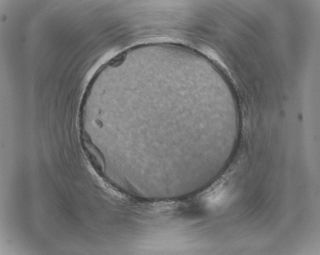 X0000077291181200611171619