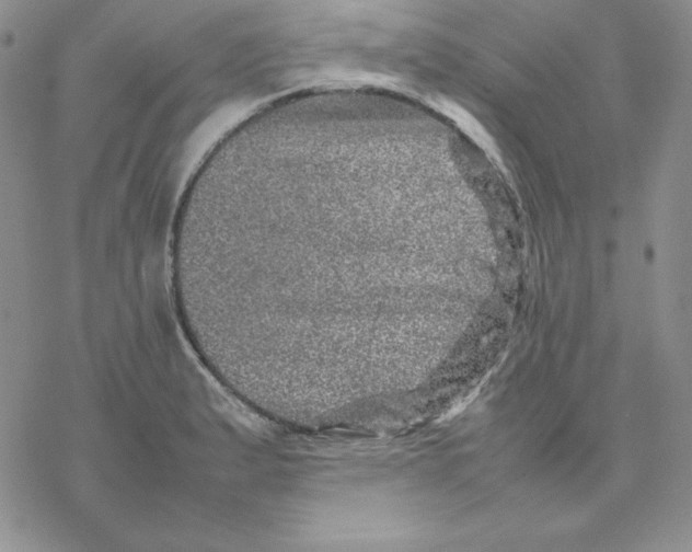 X0000077291183200611171619