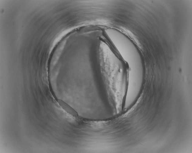 X0000077291184200611171619