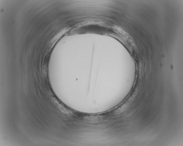 X0000077291185200611171619