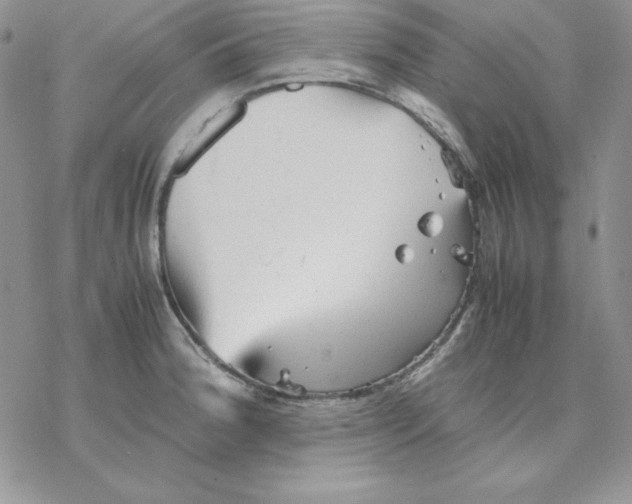 X0000077291188200611171619