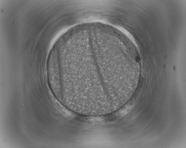 X0000077291191200611171619