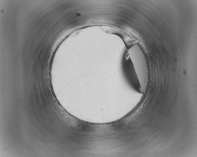 X0000077291192200611171619