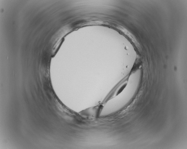 X0000077291193200611171619