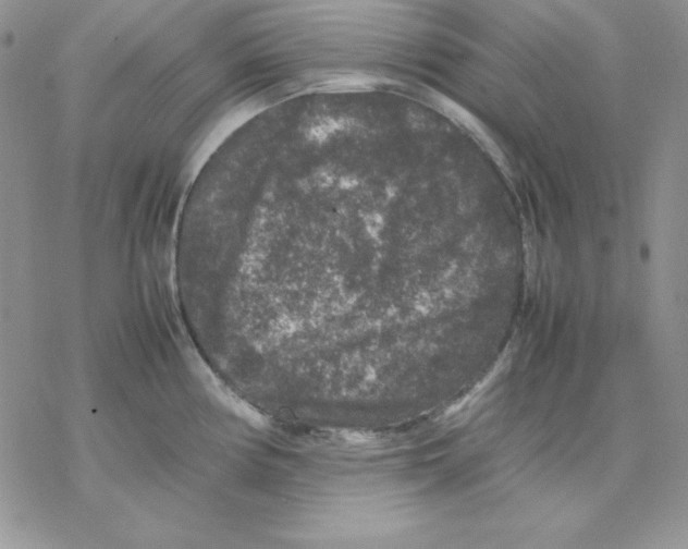 X0000077291194200611171619