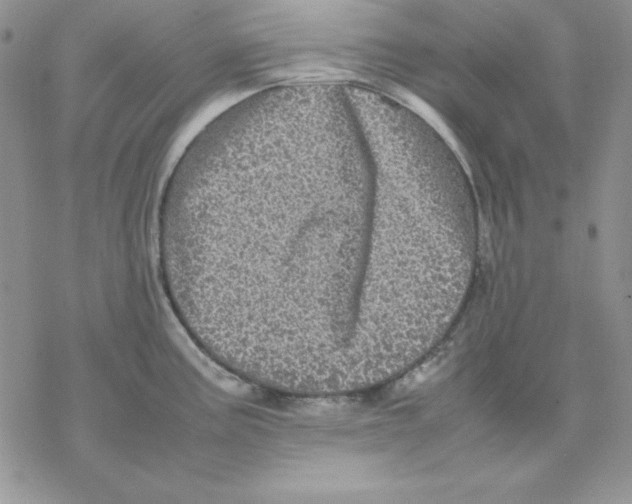 X0000077291195200611171619