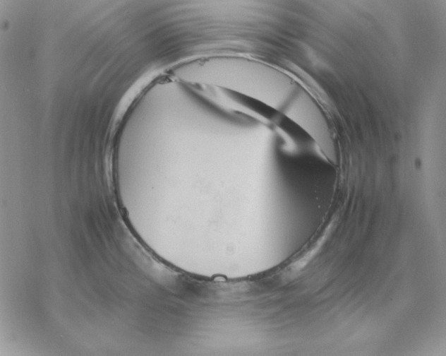 X0000077291196200611171619