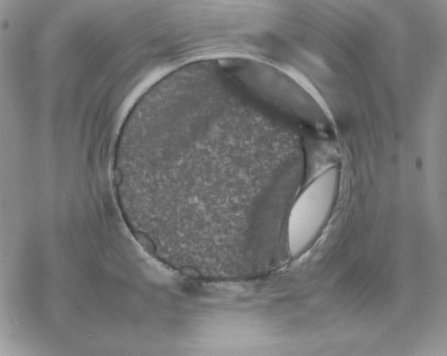 X0000077291197200611171619