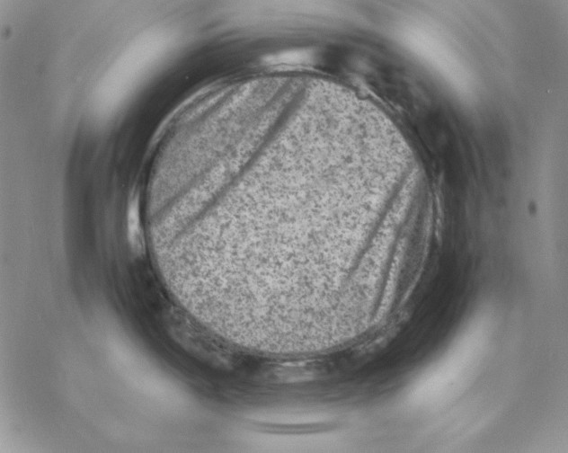 X0000077291198200611171619