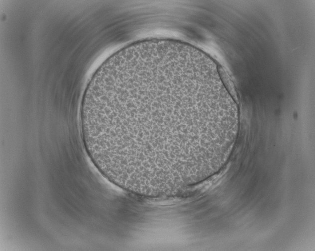 X0000077291199200611171619