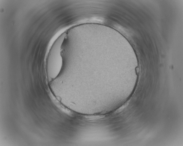 X0000077291200200611171619