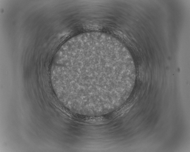 X0000077291201200611171618