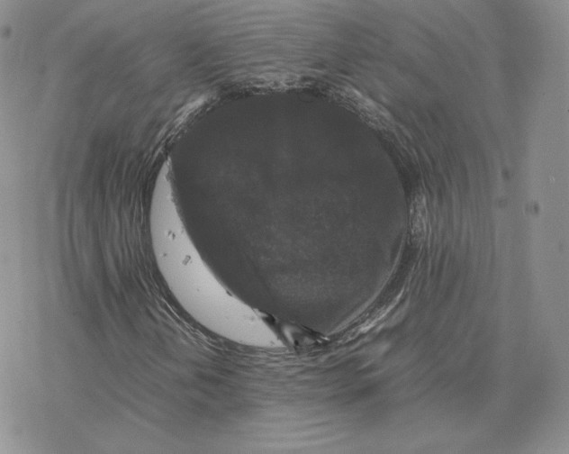 X0000077291202200611171618