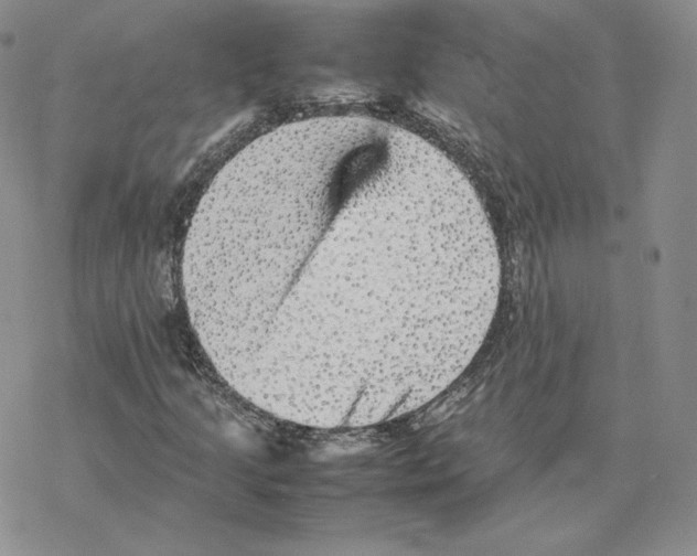 X0000077291205200611171618