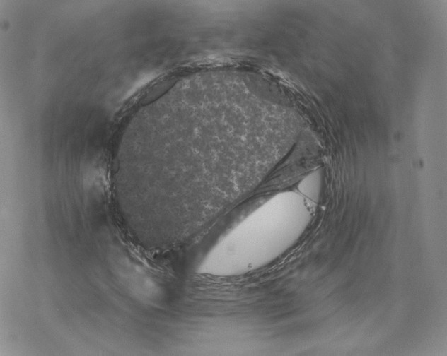 X0000077291206200611171618