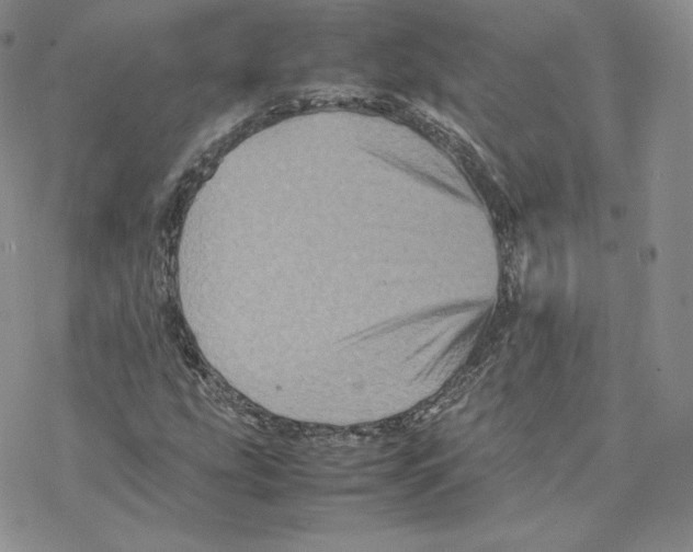 X0000077291207200611171618