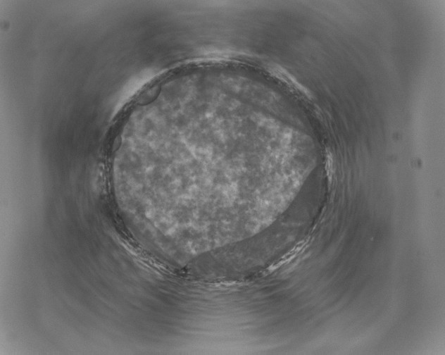 X0000077291208200611171619