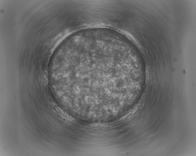 X0000077291212200611171619