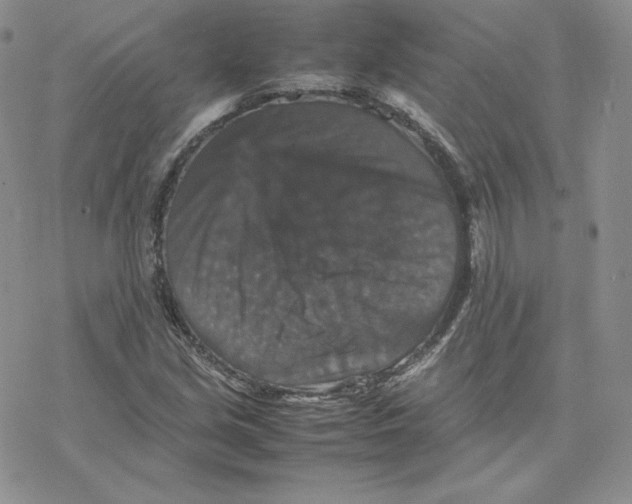 X0000077291213200611171619