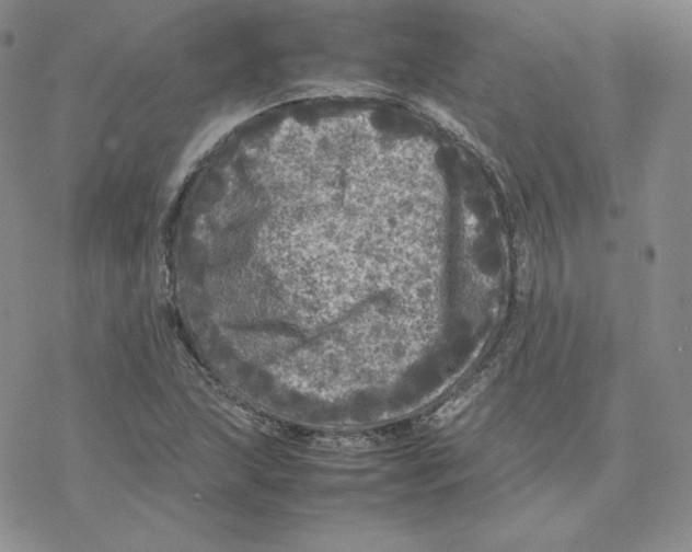 X0000077291215200611171619