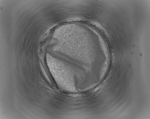 X0000077291217200611171619