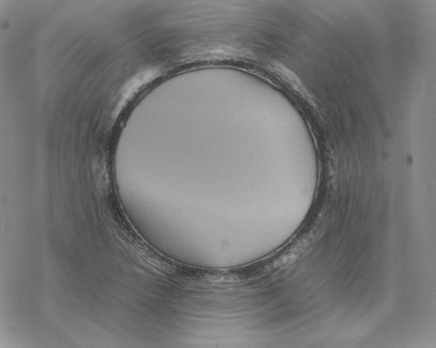 X0000077291218200611171619