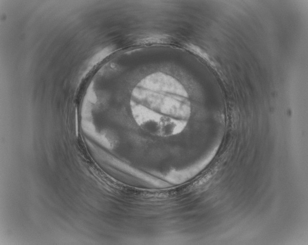 X0000077291219200611171619