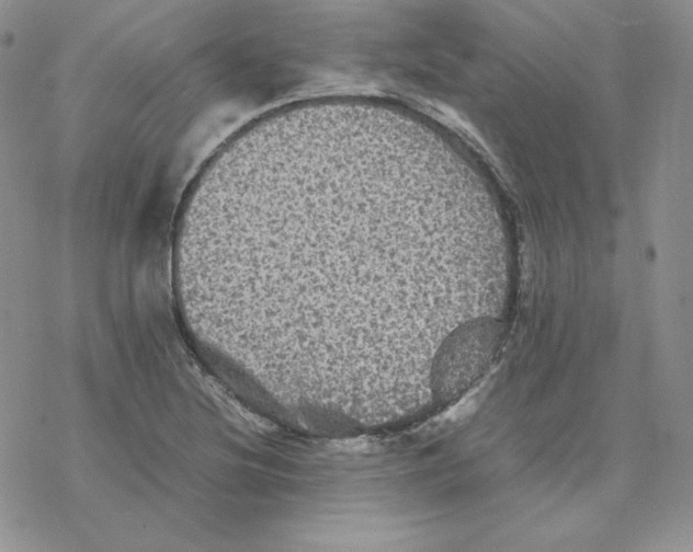 X0000077291220200611171619